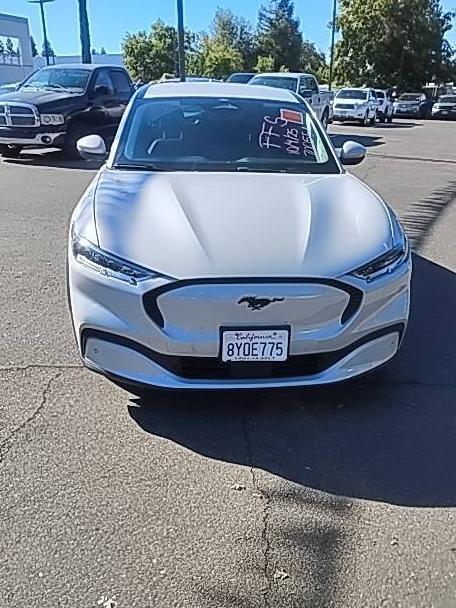 FORD MUSTANG MACH-E 2021 3FMTK1RM1MMA52206 image FORD MUSTANG MACH-E 2021 3FMTK1RM1MMA52206 image